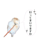 お嬢様言葉ポメラニアン（個別スタンプ：5）