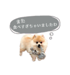 お嬢様言葉ポメラニアン（個別スタンプ：11）