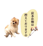 お嬢様言葉ポメラニアン（個別スタンプ：12）