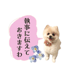 お嬢様言葉ポメラニアン（個別スタンプ：15）