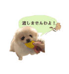 お嬢様言葉ポメラニアン（個別スタンプ：23）