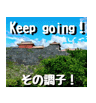 沖縄名所巡り大好き。沖縄行きたい。（個別スタンプ：5）