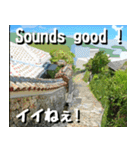 沖縄名所巡り大好き。沖縄行きたい。（個別スタンプ：16）