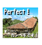 沖縄名所巡り大好き。沖縄行きたい。（個別スタンプ：17）