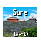 沖縄名所巡り大好き。沖縄行きたい。（個別スタンプ：24）