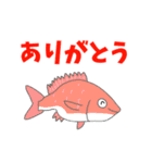 あぷくんのお魚スタンプ（個別スタンプ：10）