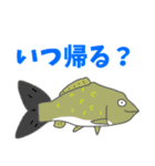 あぷくんのお魚スタンプ（個別スタンプ：13）