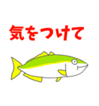 あぷくんのお魚スタンプ（個別スタンプ：24）