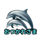 イルカの気まぐれなひと言（個別スタンプ：11）