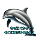 イルカの気まぐれなひと言（個別スタンプ：15）