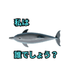 イルカの気まぐれなひと言（個別スタンプ：16）