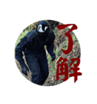 FPS男のLINEスタンプ（個別スタンプ：2）
