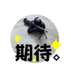 FPS男のLINEスタンプ（個別スタンプ：8）