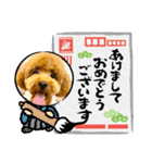 マギちゃんちの ちょび太（個別スタンプ：2）