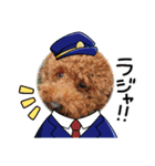 マギちゃんちの ちょび太（個別スタンプ：3）