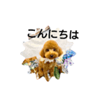 マギちゃんちの ちょび太（個別スタンプ：8）