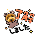 マギちゃんちの ちょび太（個別スタンプ：10）