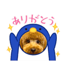 マギちゃんちの ちょび太（個別スタンプ：11）