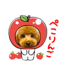 マギちゃんちの ちょび太（個別スタンプ：12）