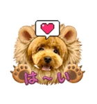 マギちゃんちの ちょび太（個別スタンプ：16）