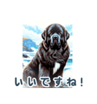 世界の犬図鑑 2:日本語（個別スタンプ：12）