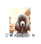 世界の犬図鑑 2:日本語（個別スタンプ：27）