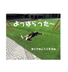 みずはのすたんぷ。（個別スタンプ：14）