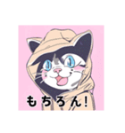 【レトロ×ねこ】〜ほっこり日常会話1〜（個別スタンプ：3）