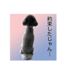 うちの子 モア【1】（個別スタンプ：3）