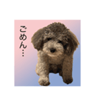 うちの子 モア【1】（個別スタンプ：5）