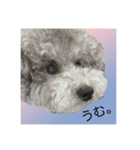 うちの子 モア【1】（個別スタンプ：10）