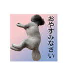 うちの子 モア【1】（個別スタンプ：11）