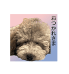 うちの子 モア【1】（個別スタンプ：12）