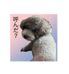 うちの子 モア【1】（個別スタンプ：14）