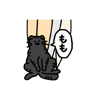 にゃーファー1(猫サーファー)（個別スタンプ：11）