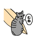 にゃーファー1(猫サーファー)（個別スタンプ：14）