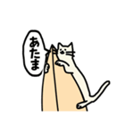 にゃーファー1(猫サーファー)（個別スタンプ：16）