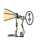 にゃーファー1(猫サーファー)（個別スタンプ：17）