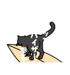 にゃーファー1(猫サーファー)（個別スタンプ：34）