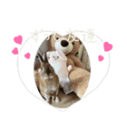 うさぎのぽかちゃんスタンプ（個別スタンプ：5）