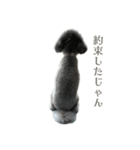 うちの子 モア【1】（背景なし）（個別スタンプ：14）