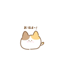 虹色猫さんฅ（個別スタンプ：5）