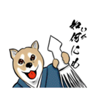 犬の侍スタンプ（個別スタンプ：19）