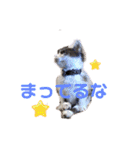 ピリオハナスタンプ2（Yver.）（個別スタンプ：4）