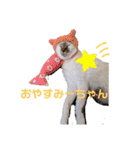 ピリオハナスタンプ2（Yver.）（個別スタンプ：6）