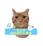 ピリオハナスタンプ2（Yver.）（個別スタンプ：7）