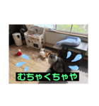 ピリオハナスタンプ2（Yver.）（個別スタンプ：9）