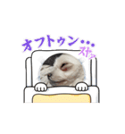 7575すたんぷっ（個別スタンプ：4）