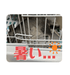 チンチラのおはぎくん まとめ1（個別スタンプ：5）