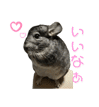 チンチラのおはぎくん まとめ1（個別スタンプ：9）